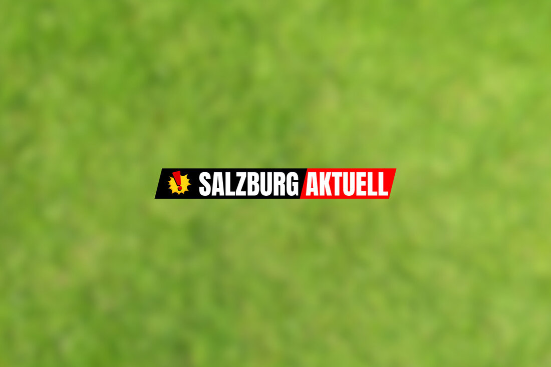 FC Red Bull Salzburg sucht einen neuen Sport-Geschäftsführer nach Rouven Schröders Abgang. Favoriten sind Andreas Schicker und Markus Katzer.